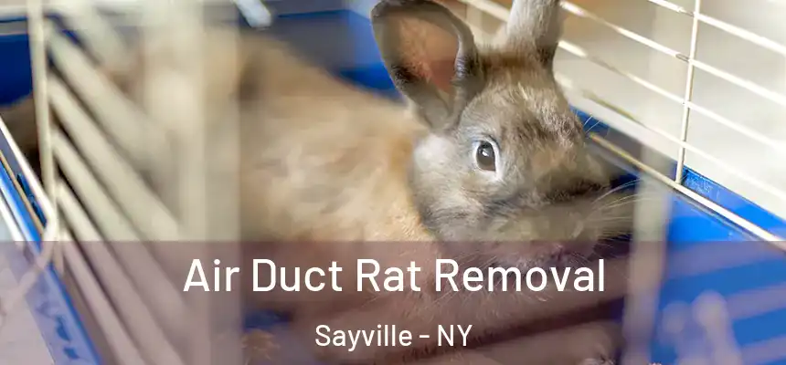  Air Duct Rat Removal Sayville - NY