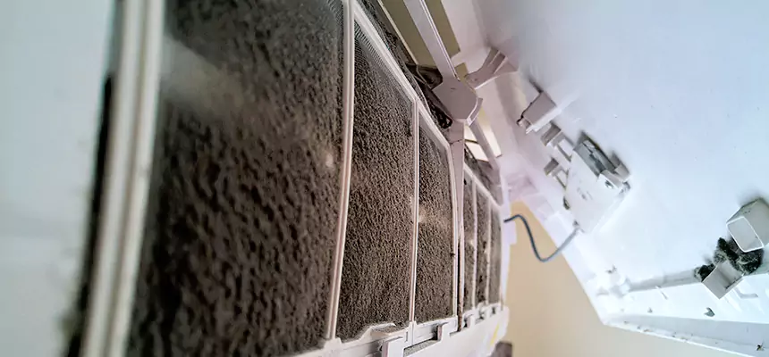 Preventive Air Duct Bacteria Removal in Sayville