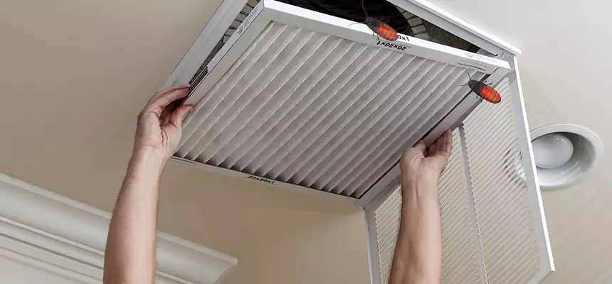Preventive Cockroach-Proofing for Ducts in Sayville