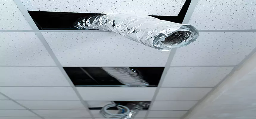 Our Air Duct Pet Hair Removal Services in Sayville, NY