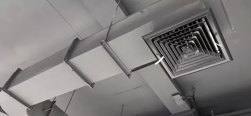 Restorative Allergy Relief Vent Cleaning – Coil, Blower & Housing Detail in Sayville