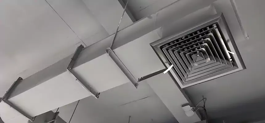 Our Pest Removal From Ducts Services in Sayville, NY