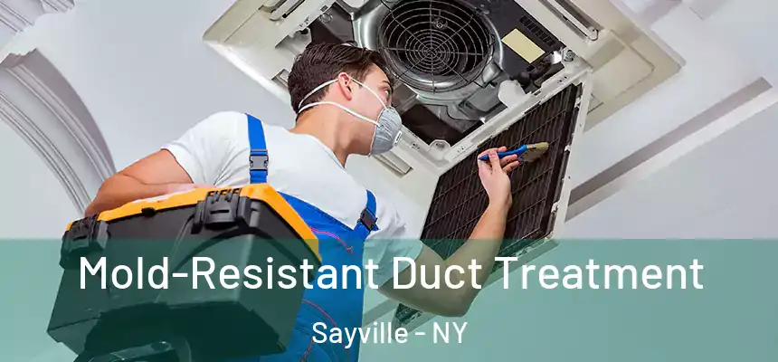  Mold-Resistant Duct Treatment Sayville - NY