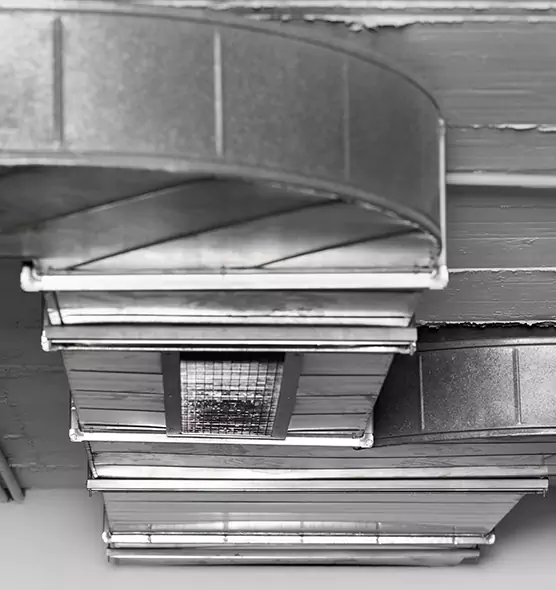 Professional Air Duct Pest Removal in Sayville, NY