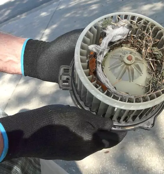 About Air Duct Rat Removal in Sayville, NY