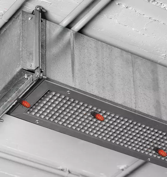 Affordable Insect Removal from Air Ducts in Sayville, NY