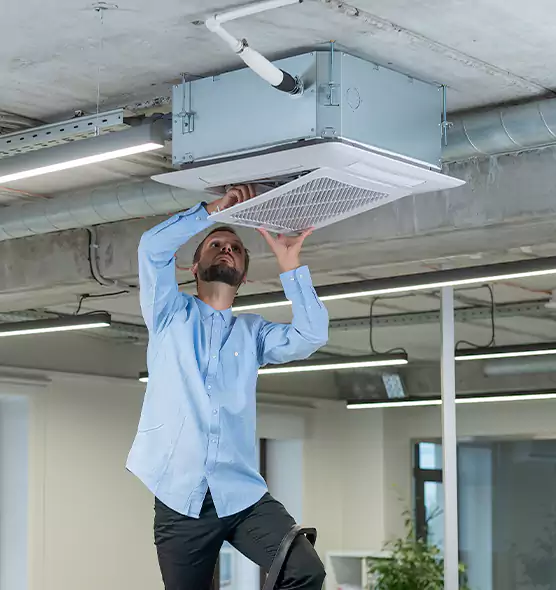 Advanced Rodent Droppings In Vents in Sayville, NY
