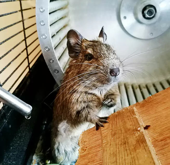 Why Homeowners & Businesses Trust Us Sayville, NY