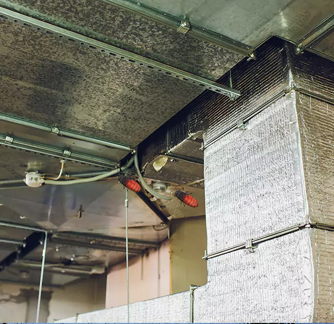 Why Homeowners & Businesses Trust Us Sayville, NY?